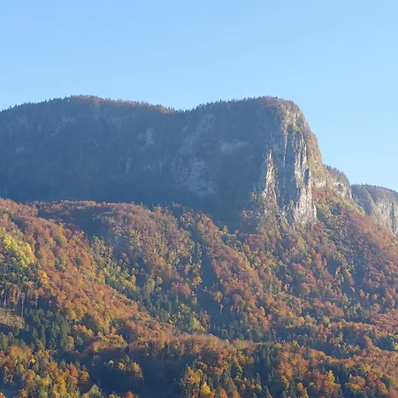 Apartmaji Pr'pisk Bohinjska Bela