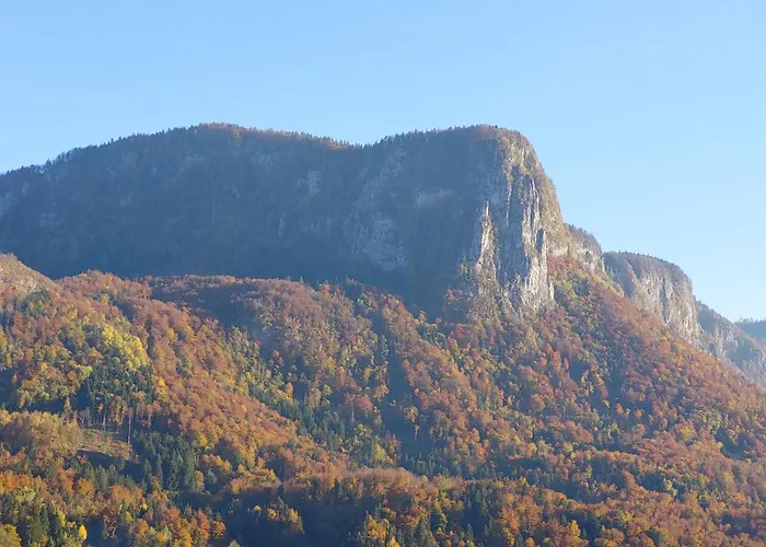Apartmaji Pr'pisk Bohinjska Bela